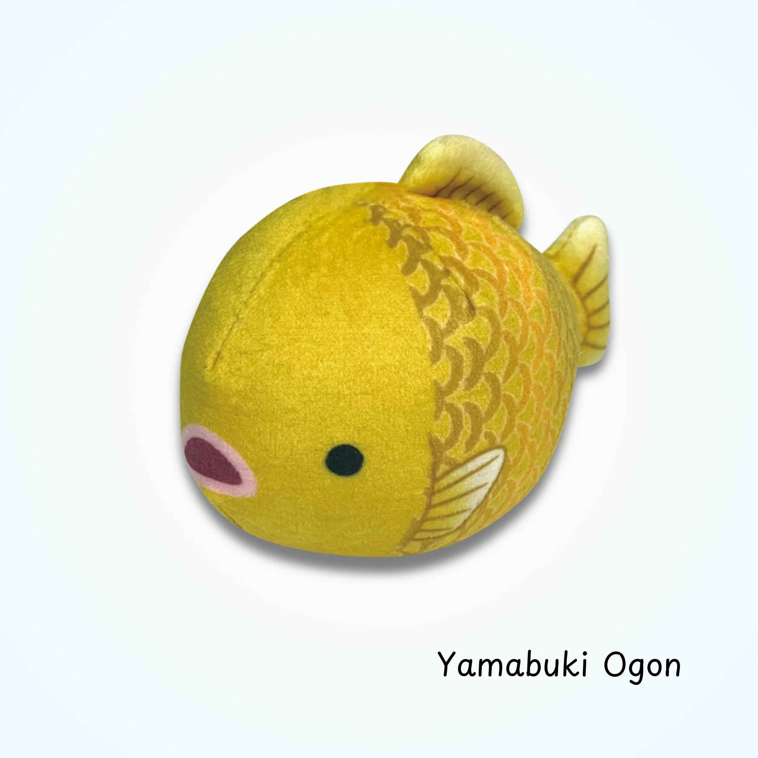 画像 6