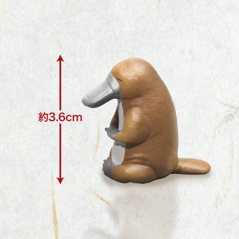 画像 3