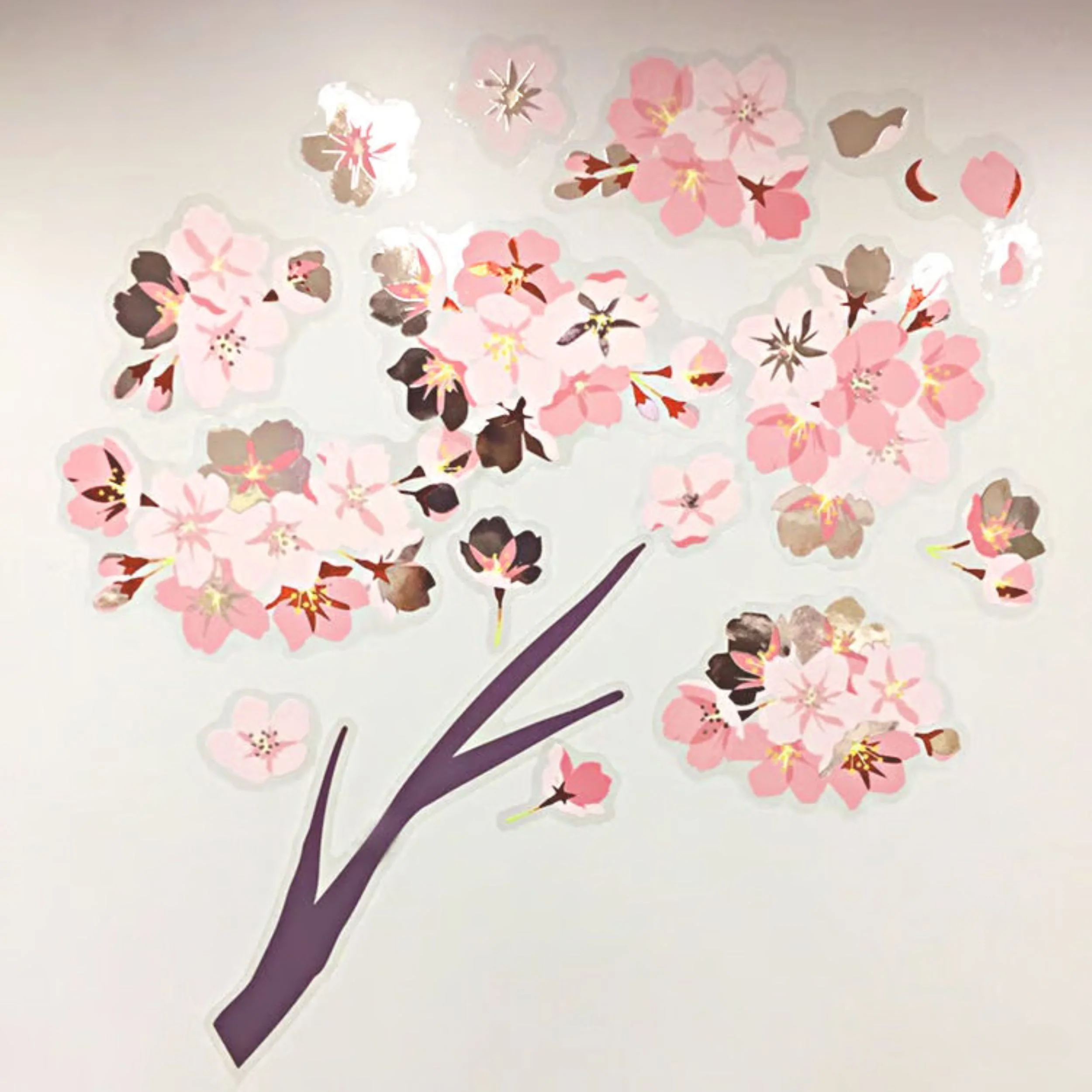 画像 4