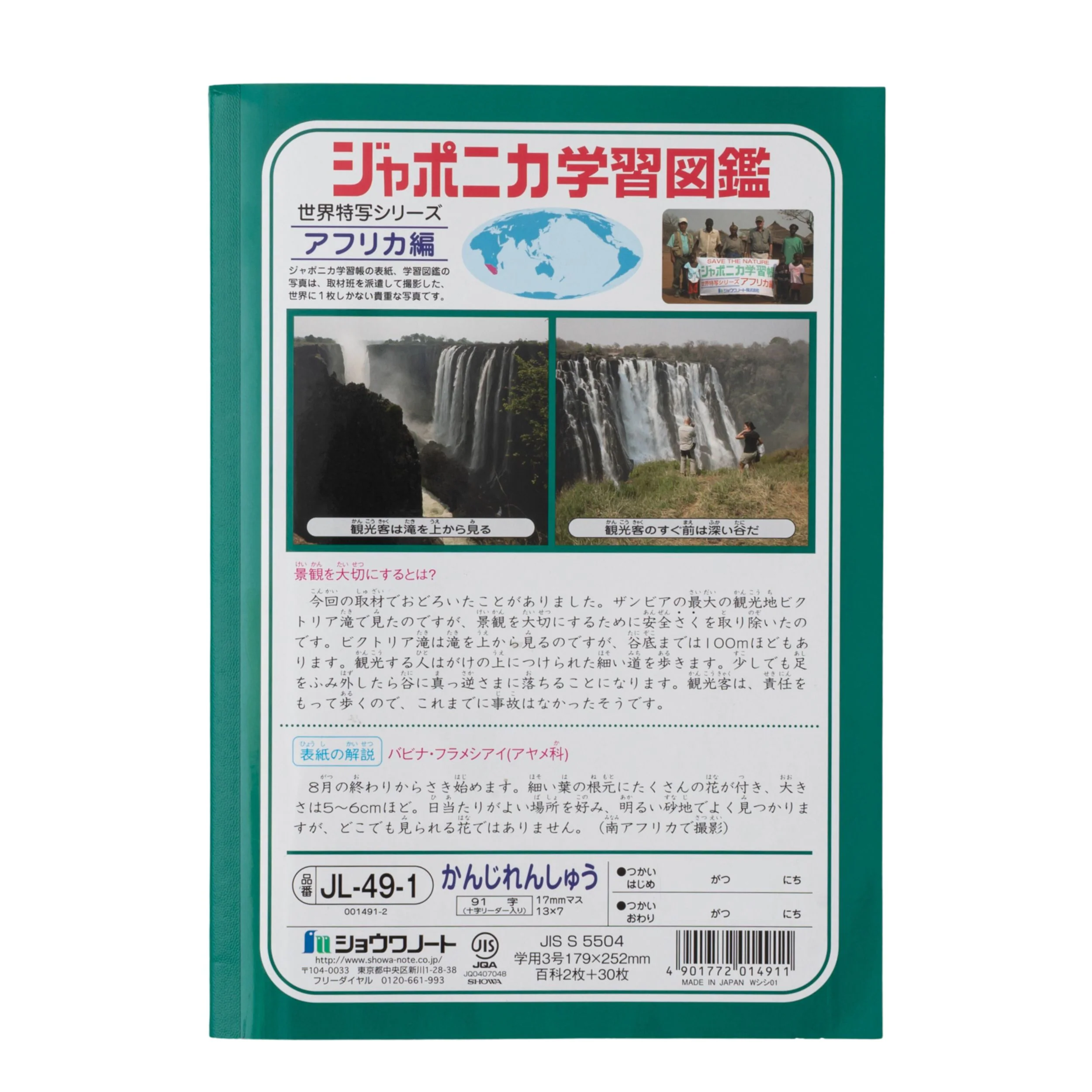 画像 4